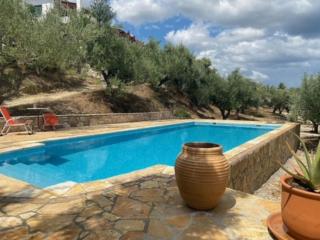 Haus mit Pool im Olivenhain - Koroni - 1