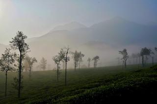 Padikkal Bunglows - Vayittiri - 7