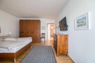 Exclusive Lakeside Apartment with Amazing View - Gambarogno - 3