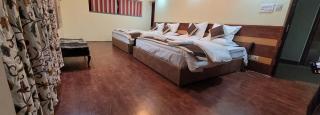 Hotel De-Villaz luxury - Srinagar - 5