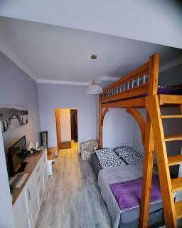Niezależny apartament przy Parku Zdrojowym 667-666-609 - Kudowa-Zdrój - 4