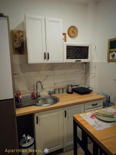 Apartman Nesic kop - Kopaonik - 2
