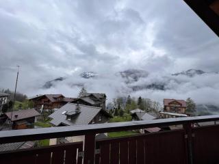 Chalet Bergrose 3 - Wengen - 8