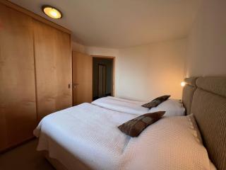 Chalet Bergrose 3 - Wengen - 3