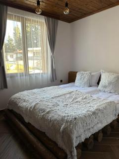 CHALET ELEVEN - Dospat - 3