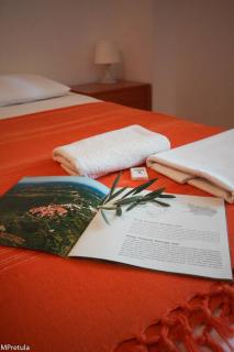 Apartments Villa Stapo - 3