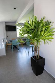 Sophie Hotel Boutique - Santa Cruz Huatulco - 1