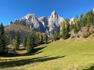 Chalet Pra Dell OSTIO Primiero San Martino di Castrozza - Fiera di Primiero - 6