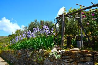Casa a Castellabate - Castellabate - 6