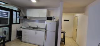 Amplio Studio en Pocitos - 1