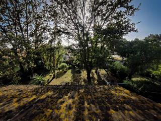 Appartamento con giardino - Anzio - 6