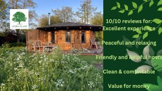 Acorn Glade Glamping - York - 6