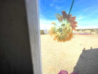 Beysicair Tents & Campground - 5