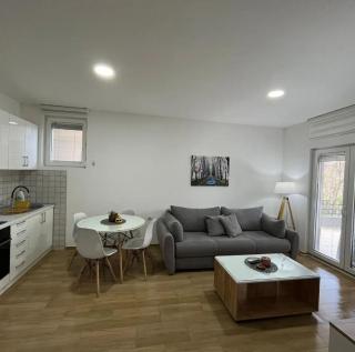 Cera luxe apartment - Soko Banja - 6