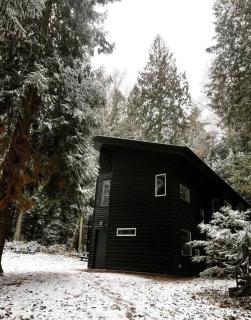 Guemes Island Road Modern Home - Anacortes - 9