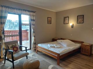 Willa Przekop - apartamenty - 9