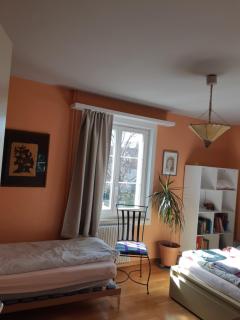 Central quiet and cosy apartment near Hallenstadion - 1