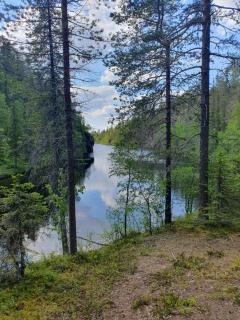 Hilltop Villa at Lake Porontima - Kuusamo - 3