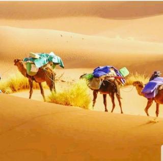Sahara camping - Merzouga - 1