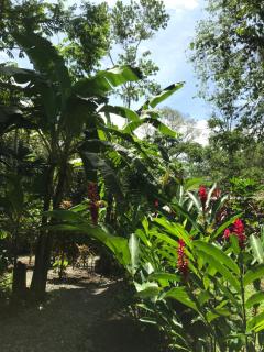 Little Yemanja Bungalow - Puerto Viejo - 9
