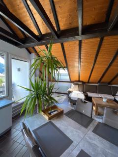 FeWo Skywalk Willingen - Stryck - 6