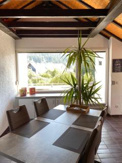 FeWo Skywalk Willingen - Stryck - 3