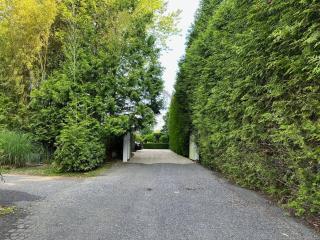 Quiet Luxury in the Heart of the Hamptons - 8