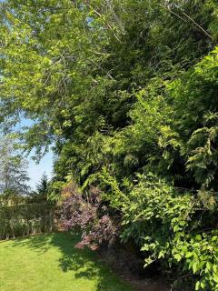 Quiet Luxury in the Heart of the Hamptons - 9