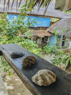 Jing's Place Homestay Siargao - 1