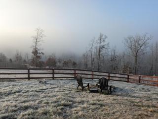 GREAT Little Guest Suite with Private Entry & Deck! Pet Friendly & 30 Mins to Nashville! - Ashland City - 9