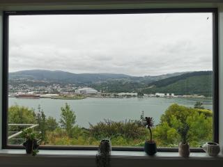Luxury Harbour view - Dunedin - 9