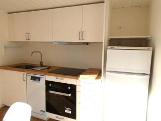 Chalet T4 pour 8 pers avec Terrasse, Parking et Casier à Ski - St Lary Soulan - FR-1-457-337 - 4