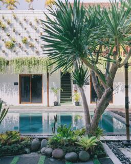 The Farm Hostel - Canggu - 2