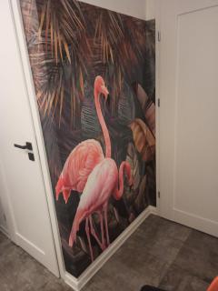 Mieszkanie Antoni - 9