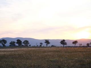 Shawwood Estate - Mudgee - 7