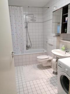 Ferienwohnung im Zentrum von Vaihingen Enz - Vaihingen an der Enz - 2