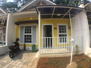 Jojo House - - 1