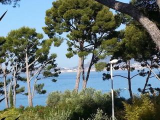 Appartement vue mer à La Madrague - Saint-Cyr-sur-Mer - 9