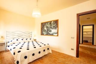 Tenuta Pianirossi - Cinigiano - 3