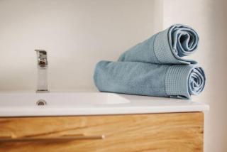 Le Joyau : loft historique et arboré, centre-ville - 3