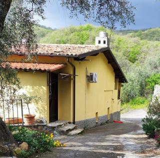 Villa Berio Tre - Kelan - Villa Viani - 9