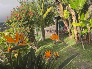 Lucky Lemons - Boutique Houses Madeira (Studio) - Calheta - 6