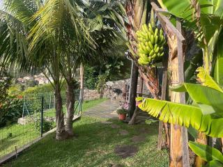 Lucky Lemons - Boutique Houses Madeira (Studio) - Calheta - 3