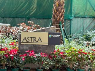 2BR Condo Unit at Prisma Residences - 9