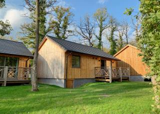 Bois de l'Ourthe 202 - Somme-Leuze - 0