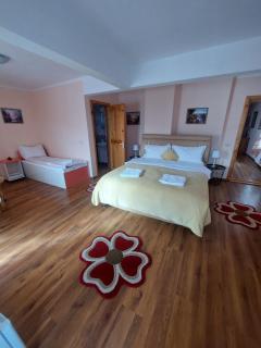 Casa Tamara - Bran - 2
