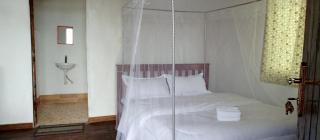 Ruhija Gorilla Guest House - Kabale - 7