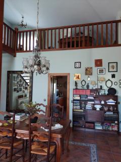 Un mar de pinares -  - 4