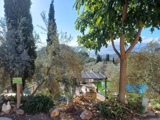 rural loft with pool views peaceful place near the center - Málaga - 3