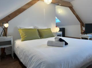 Le studio de Mamy Jacquotte Centre Cour-Cheverny - Cour-Cheverny - 8